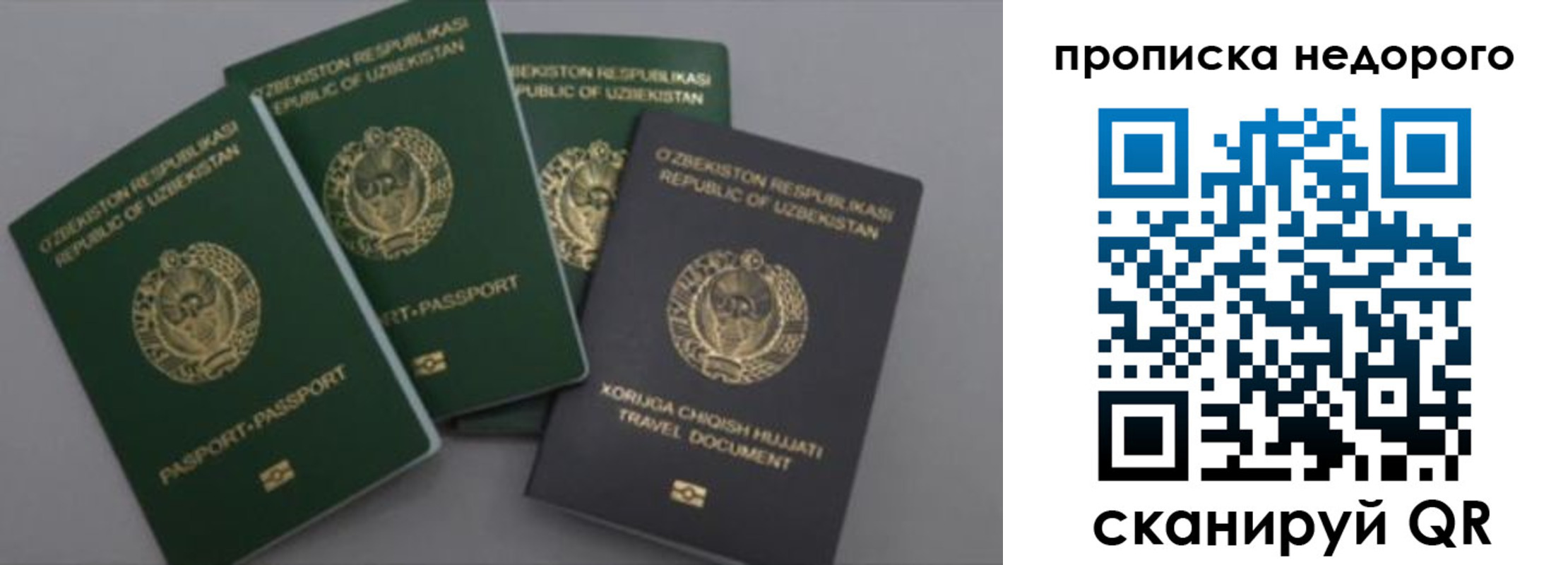 регистрация для школы в Пугачёве